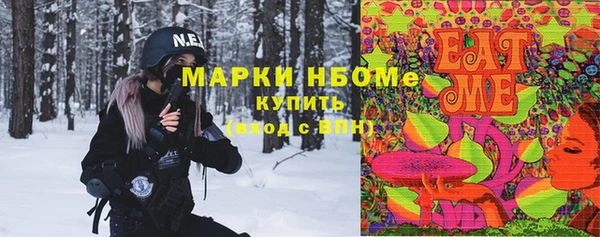 apvp Горняк